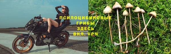 бутират Елабуга