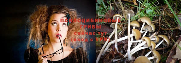 mix Ельня