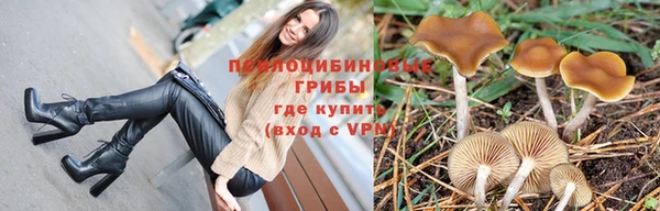 mix Ельня