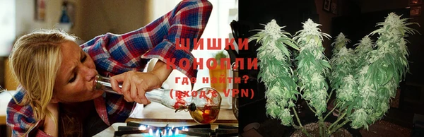 mix Ельня