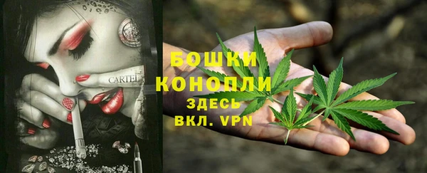 mix Ельня